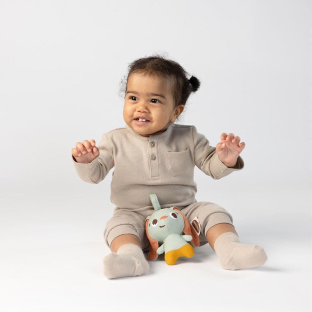Tiny Love Smarts Hanging Toy/Rattle - Garden Bunny