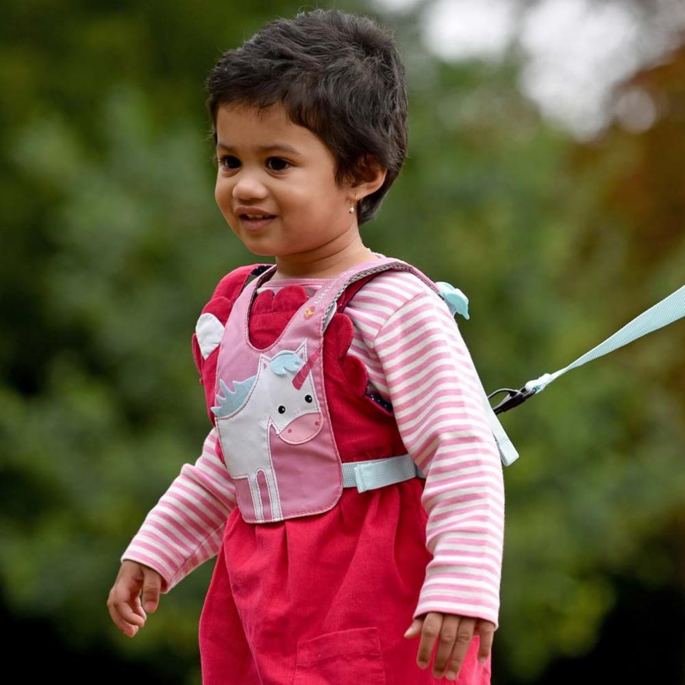 LittleLife Safety Harness
