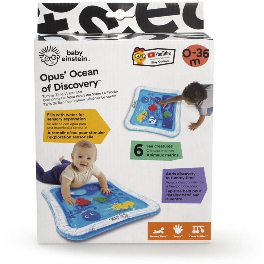 Baby Einstein Vesimatto