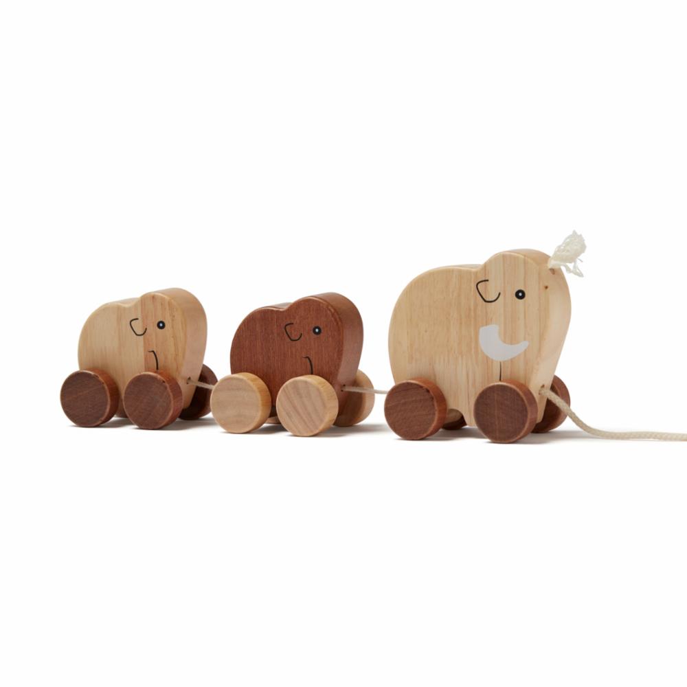 Kids Concept Pull Along Toy - Natural Neo