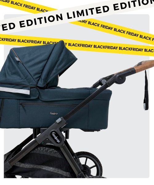Newborn Stroller